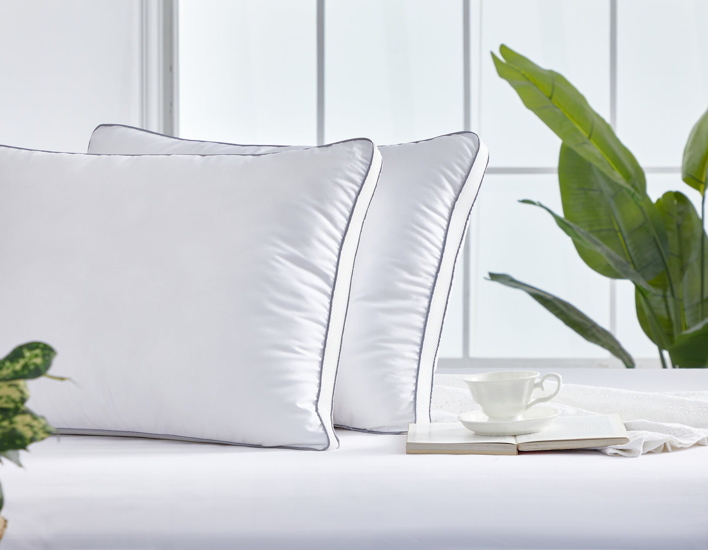 The Infrared Dream Pillow